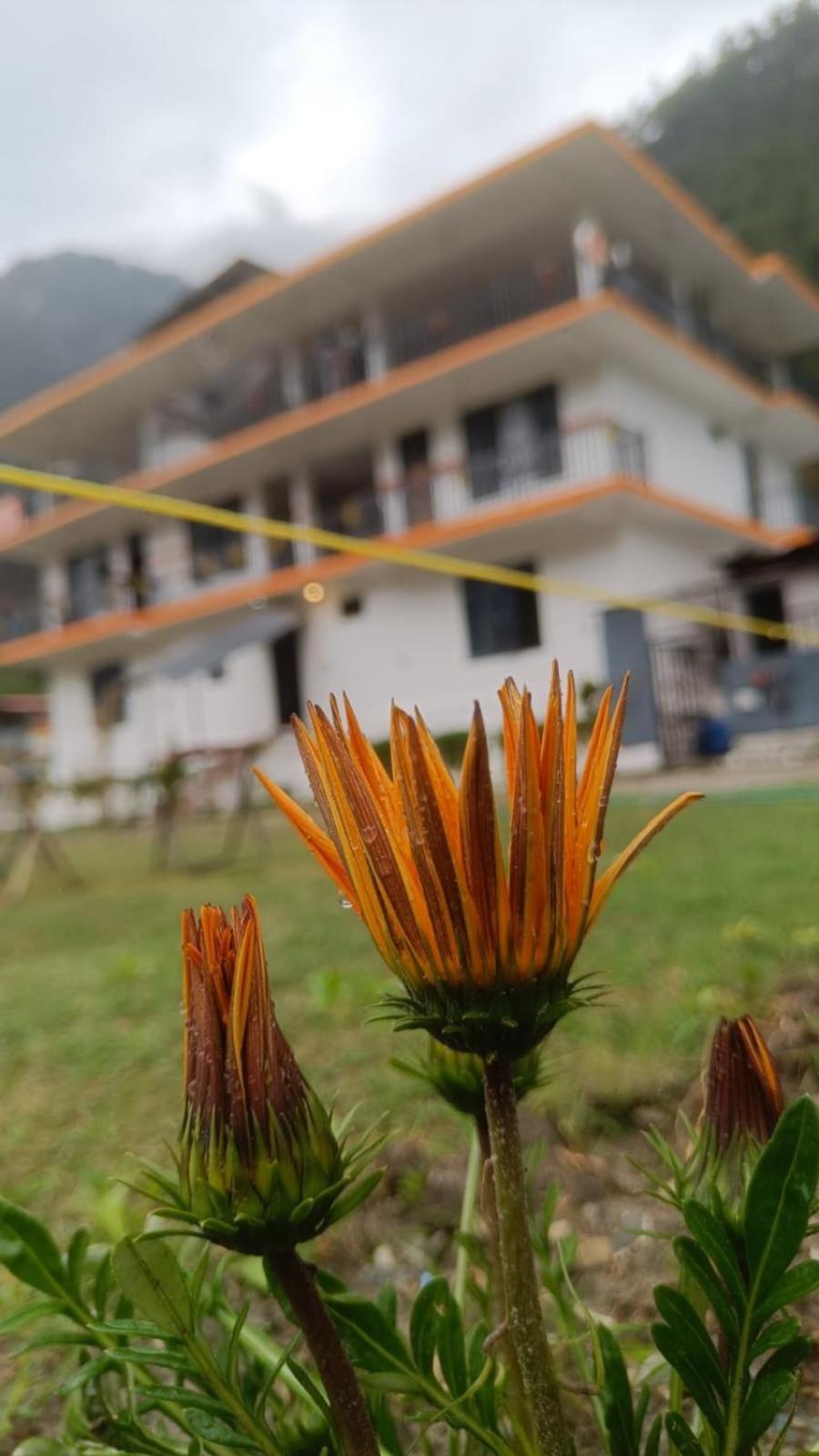 Himtrek Stay Kasol Esterno foto
