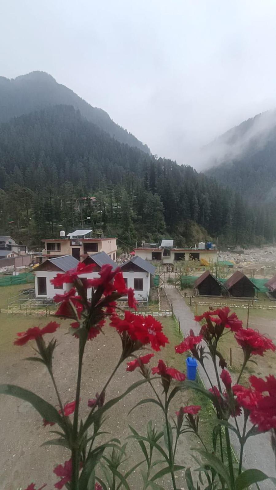 Himtrek Stay Kasol Esterno foto