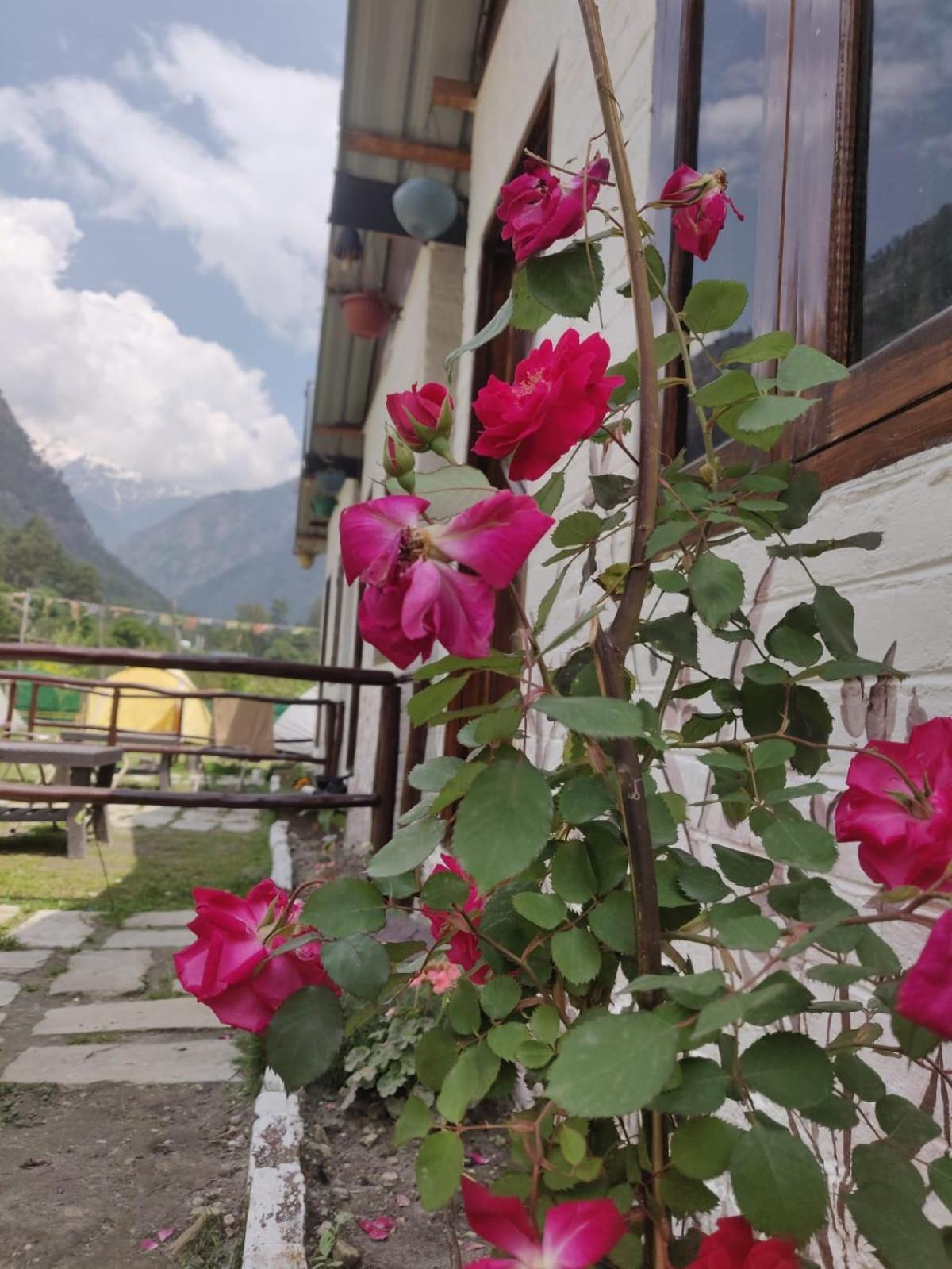 Himtrek Stay Kasol Esterno foto