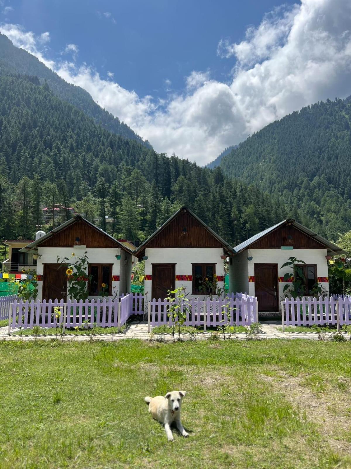 Himtrek Stay Kasol Esterno foto