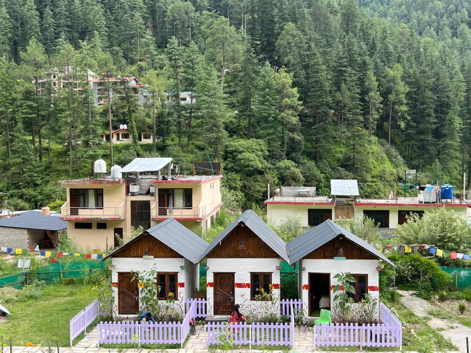 Himtrek Stay Kasol Esterno foto