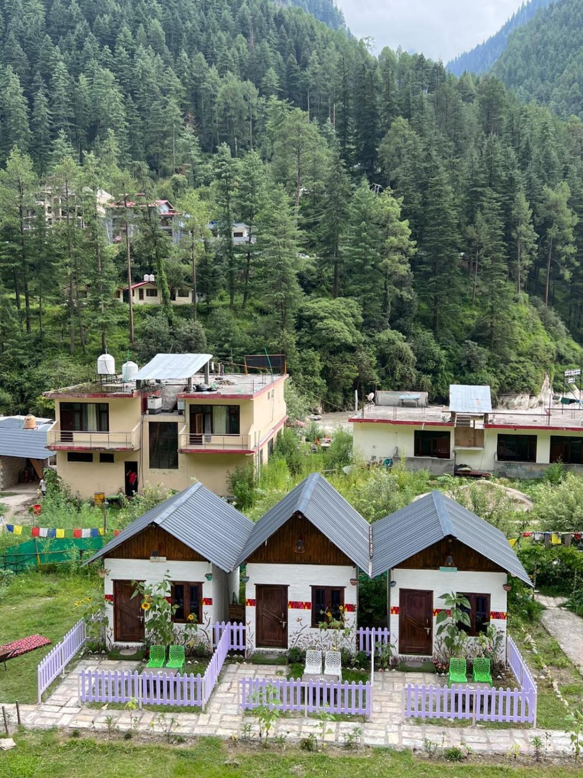 Himtrek Stay Kasol Esterno foto