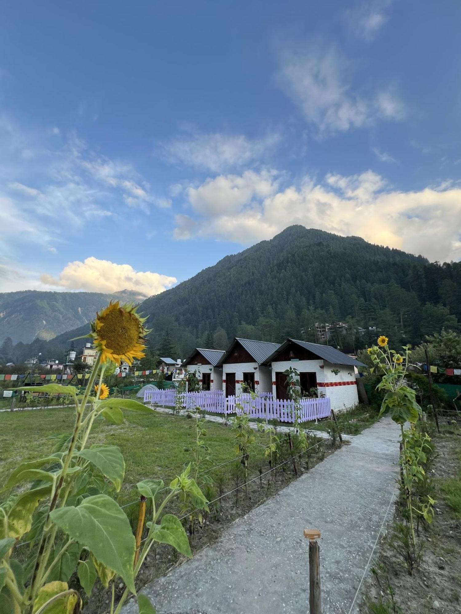 Himtrek Stay Kasol Esterno foto