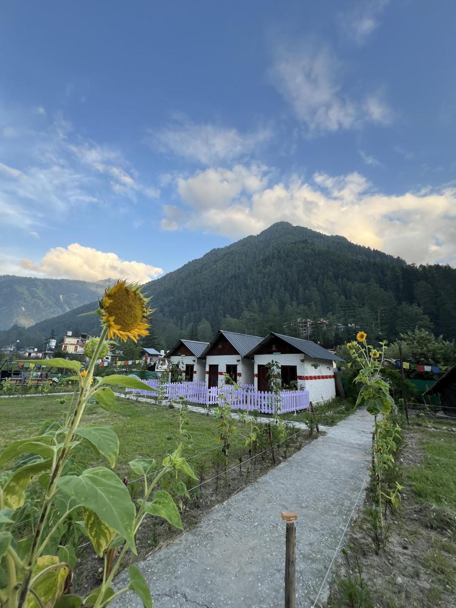 Himtrek Stay Kasol Esterno foto